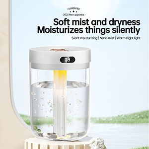 RK-C165 H8 Dual spray humidifier