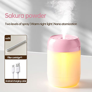 RK-C171 615 Night light humidifier