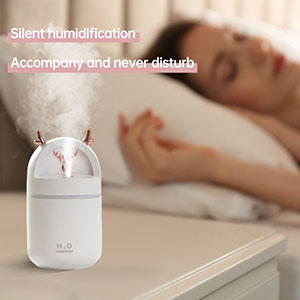 RK-C175 H5 A deer has you humidifier