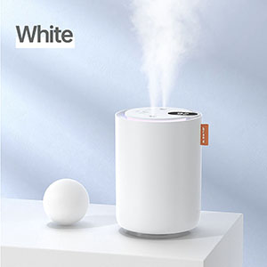 RK-C178 Light oxygen humidifier