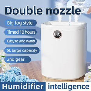 RK-C181 H10 Humidifier